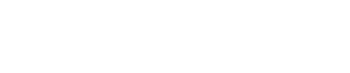 steeve_fogg.webp.png